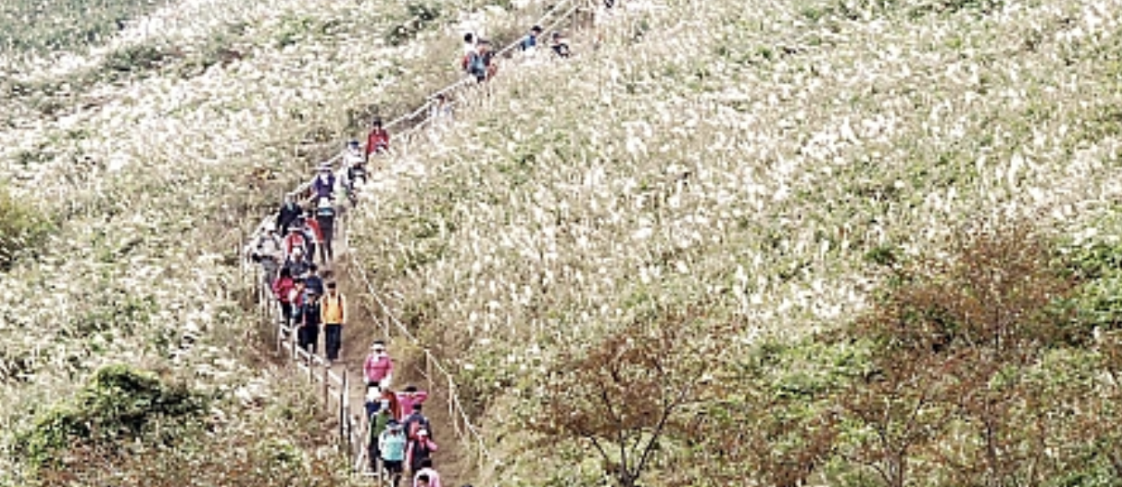 추천 부산 단풍명소 BEST 08 가을 부산 여행