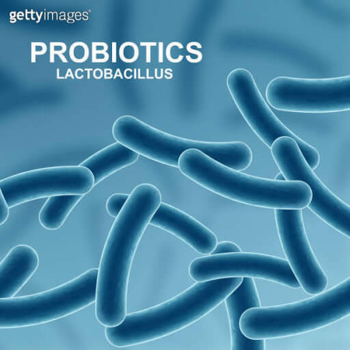 방광염에 좋은 음식