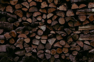 탄소중립을 위한 개인의 실천 방법: 나의 하루가 지구를 바꾼다