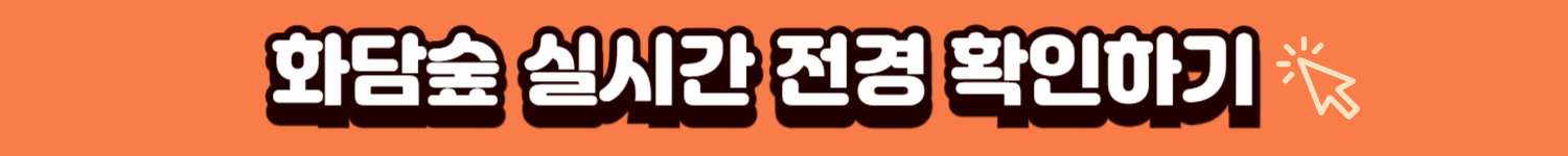 화담숲실시간확인하기