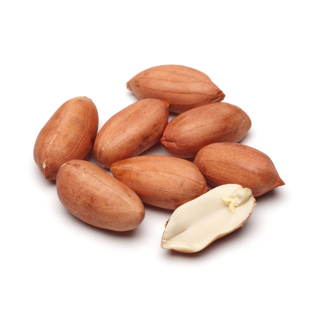 볶은땅콩 효능 칼로리 하루 섭취량 보관 방법