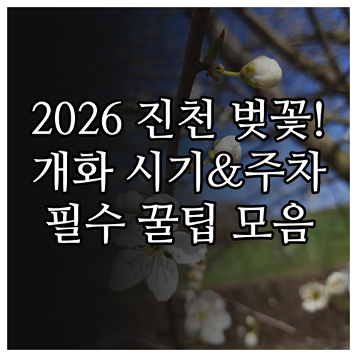 2026 진천 벚꽃 나들이 시기 및 ..