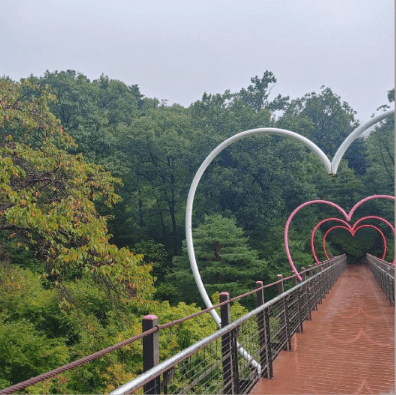 화담숲 예약 없이 방문 가능한지 여부와 예매 방법 안내.