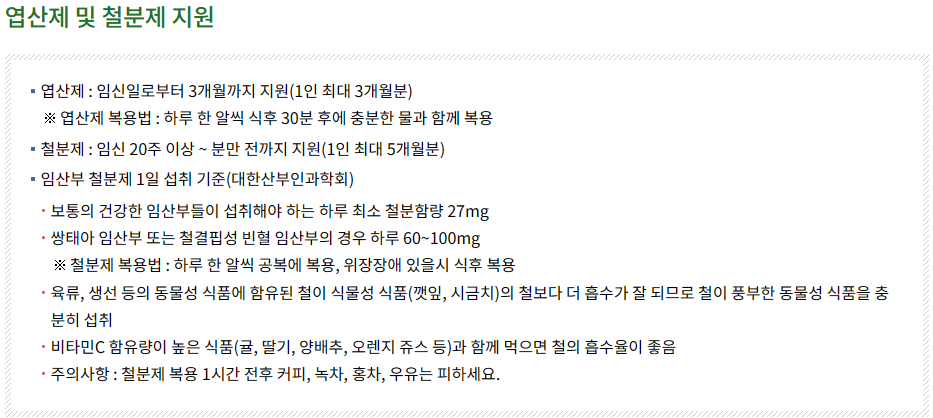 엽산제 및 철분제 지원