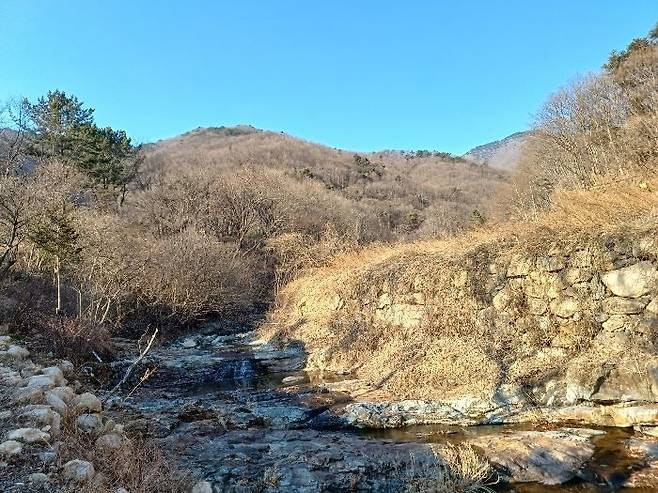 지분경매 3000원 경매