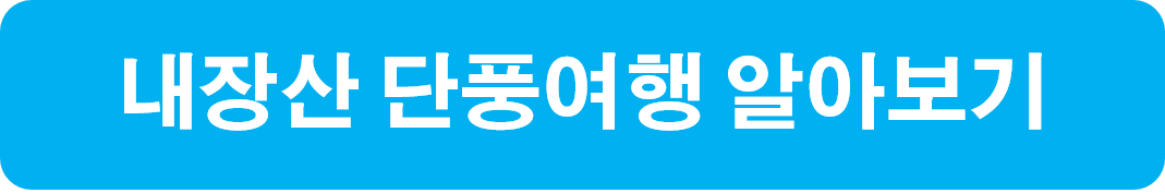 내장산 단풍여행 알아보기