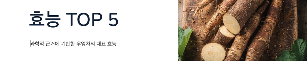 우엉차 효능