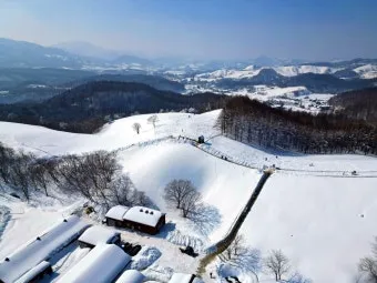 평창 가볼만한곳 베스트10 완벽 자연 여행_5