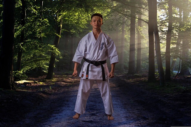 아연영양제추천