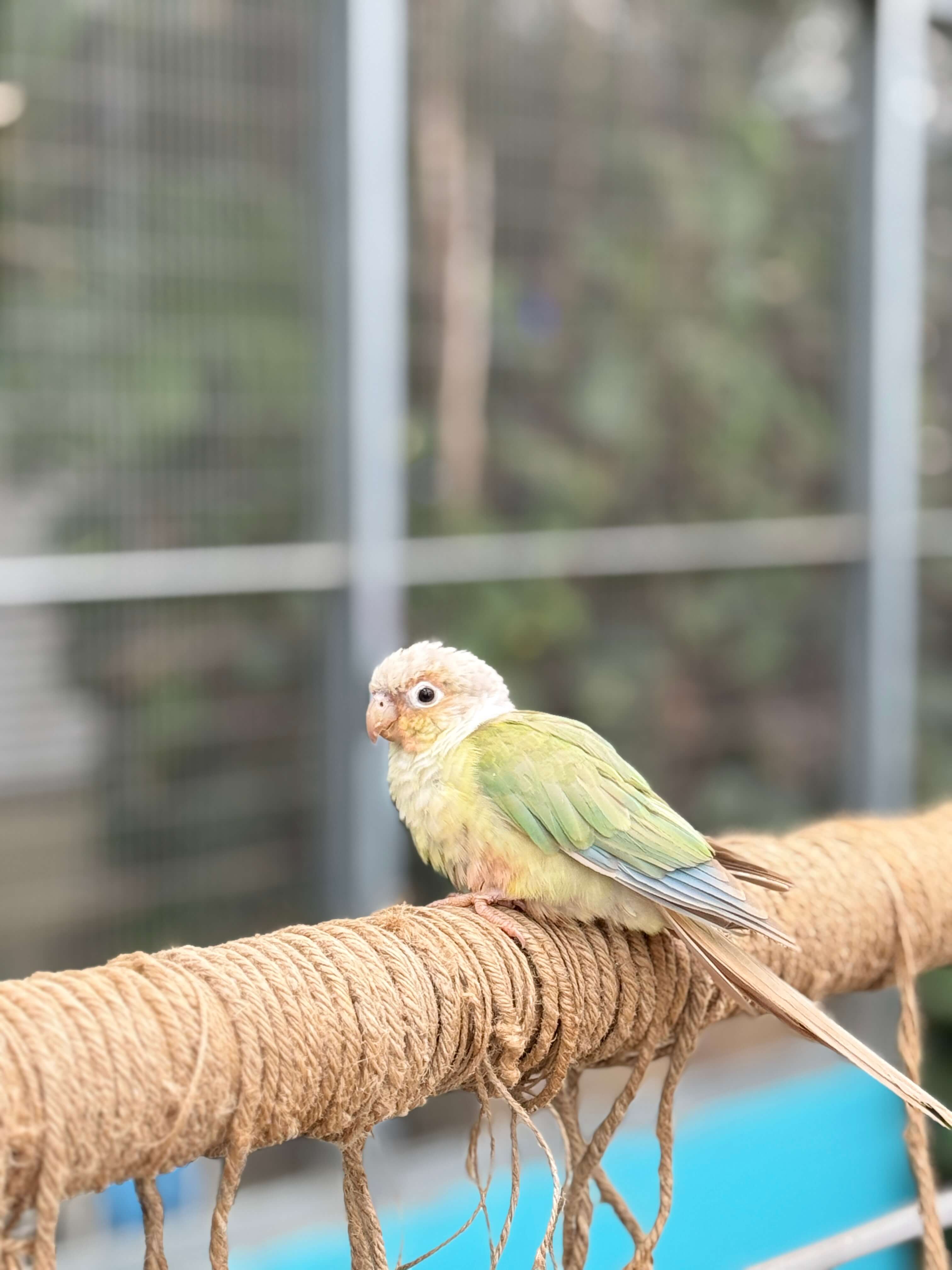 오산 버드파크 앵무새 먹이 체험, 장마철 아이와 함께 가볼만한 실내 동물원