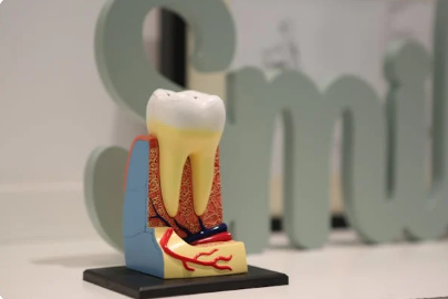 임플란트 의료보험적용대상 조건