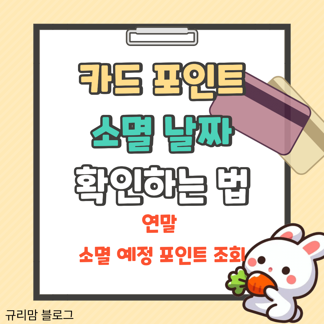 카드 포인트 소멸 날짜 확인하는 법 연말 소멸 예정 포인트 조회