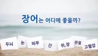 장어 효능 장어와 상극인 음식 건강 상식_13