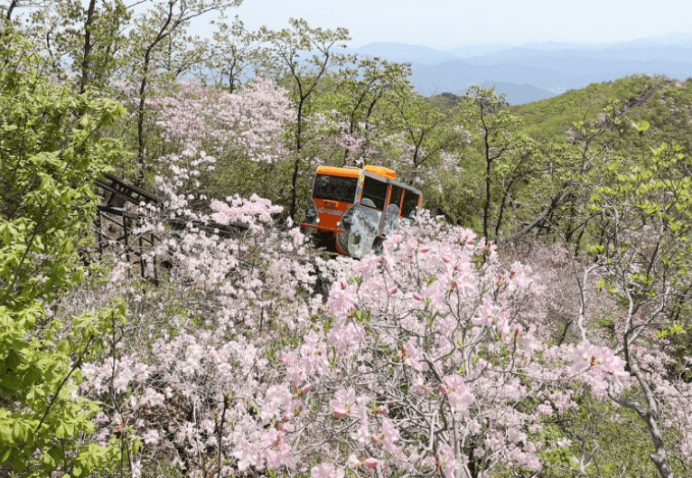 대봉산모노레일