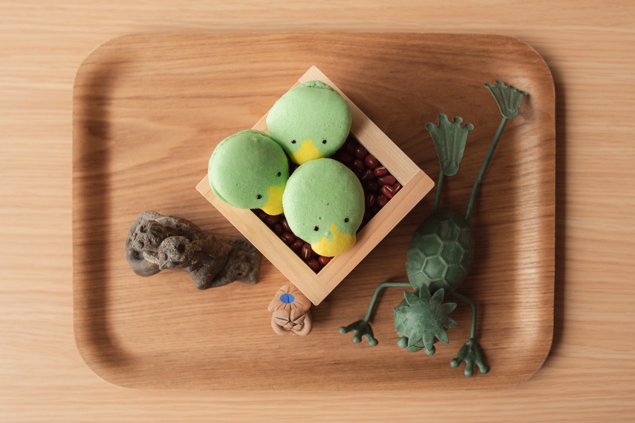 후쿠오카 자유여행 : 현지인 추천 후쿠오카 명소 여행