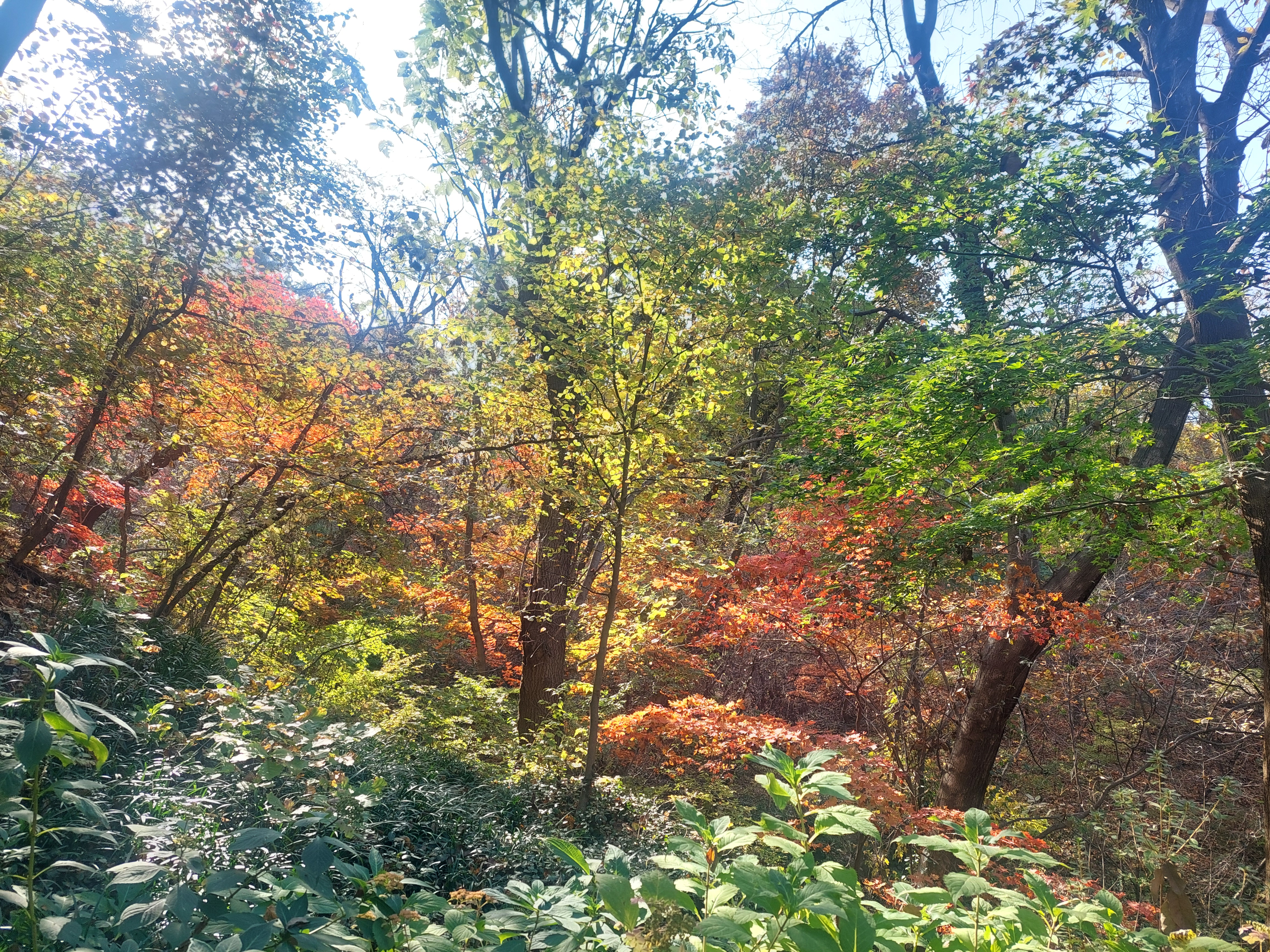남산
