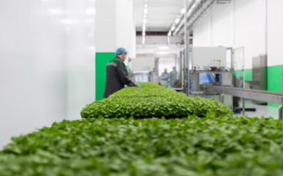 은퇴 후 창업아이템 알아보기