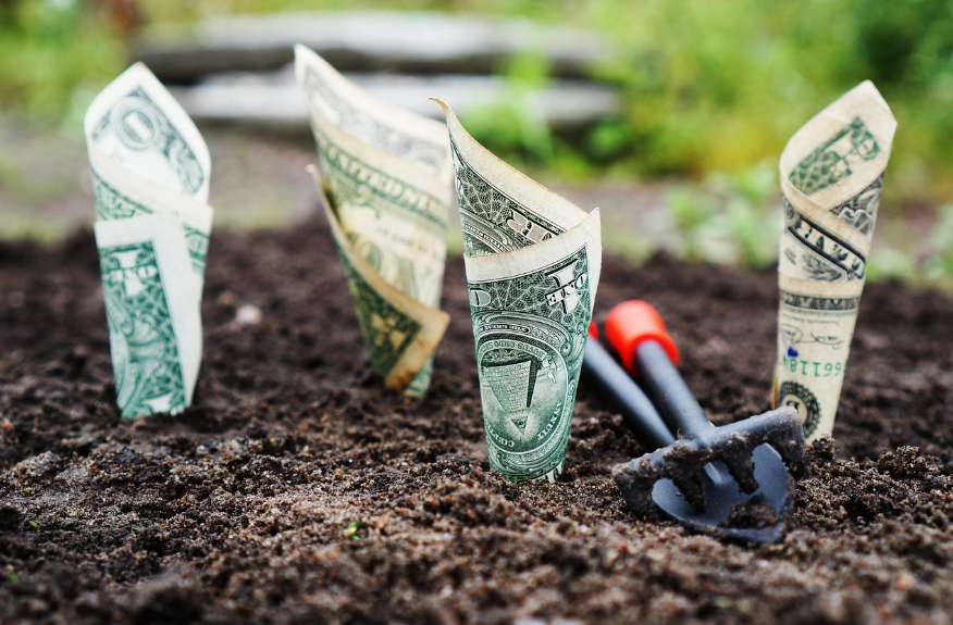 결혼자금 관련 사진