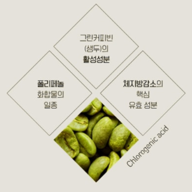 호화탕국 서양 후기 가격 부작용