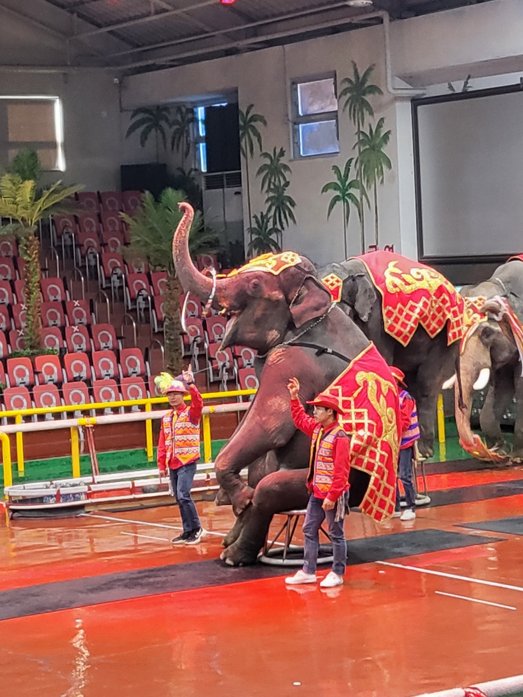 제주도 아이와가볼만한곳&amp;#44; 점보빌리지