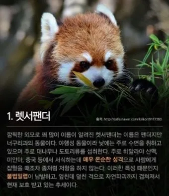 멸종 위기 동물 증가 원인과 환경 문제 분석_18