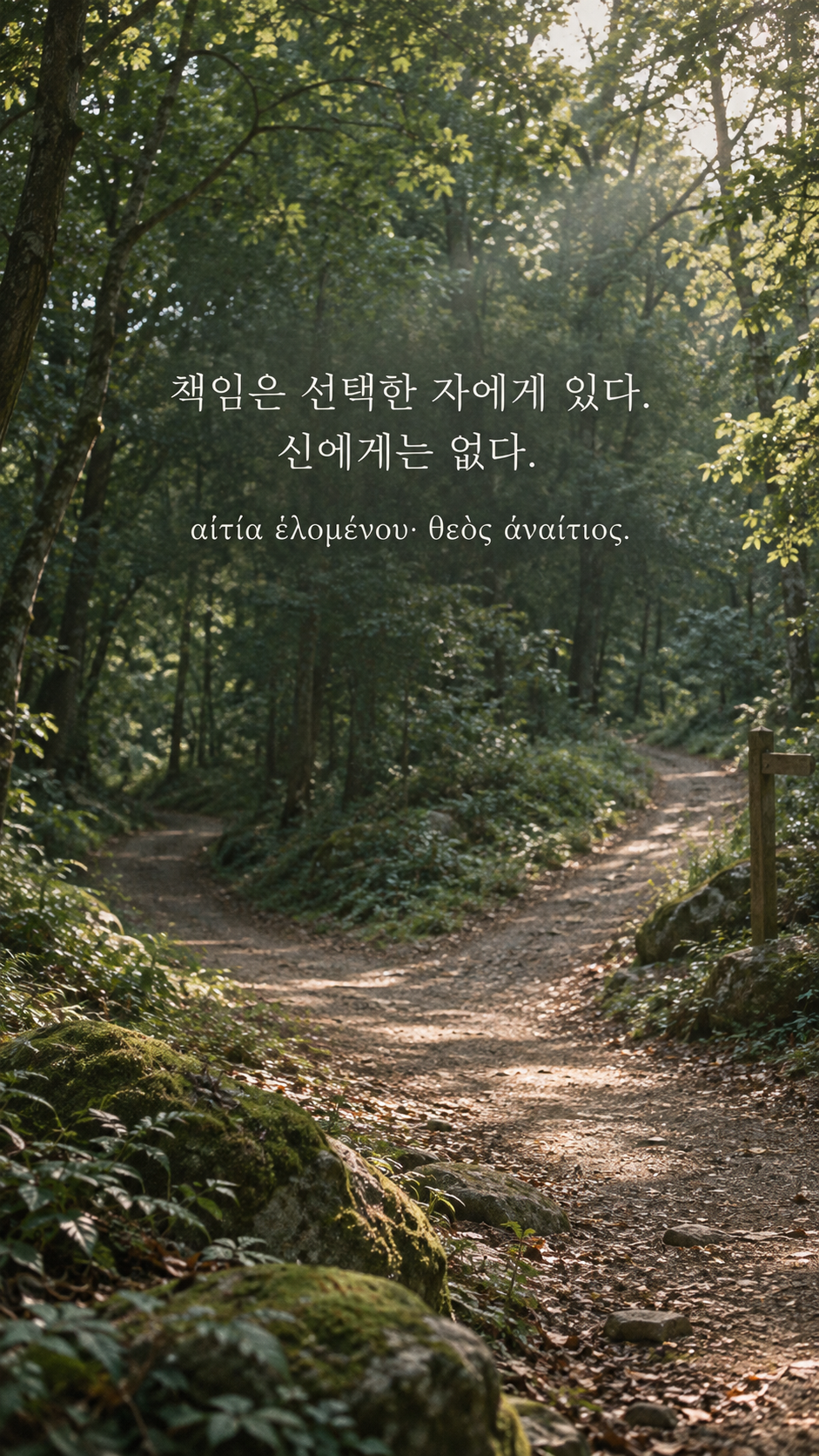 플라톤 명언 6 책임은 선택한 자에게 있다. 신에게는 없다. 두 갈래로 갈라지는 빈 숲길 배경의 한글·그리스어 세로 이미지