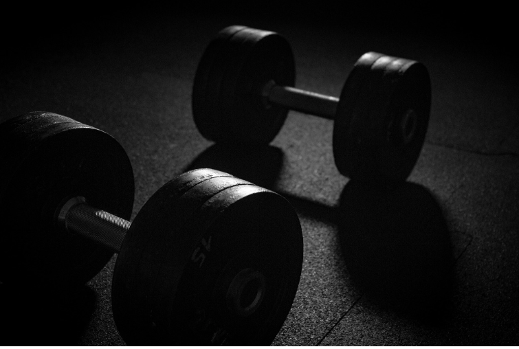 운동 중 관절과 근육의 역할