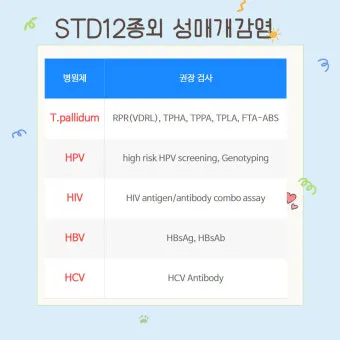 std 12종 검사 완벽 총정리종류 비용 등으로 검사항목_12