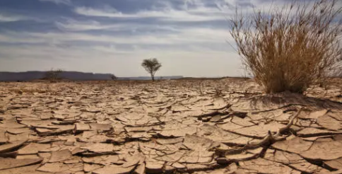 코피가 자주나는 이유 4