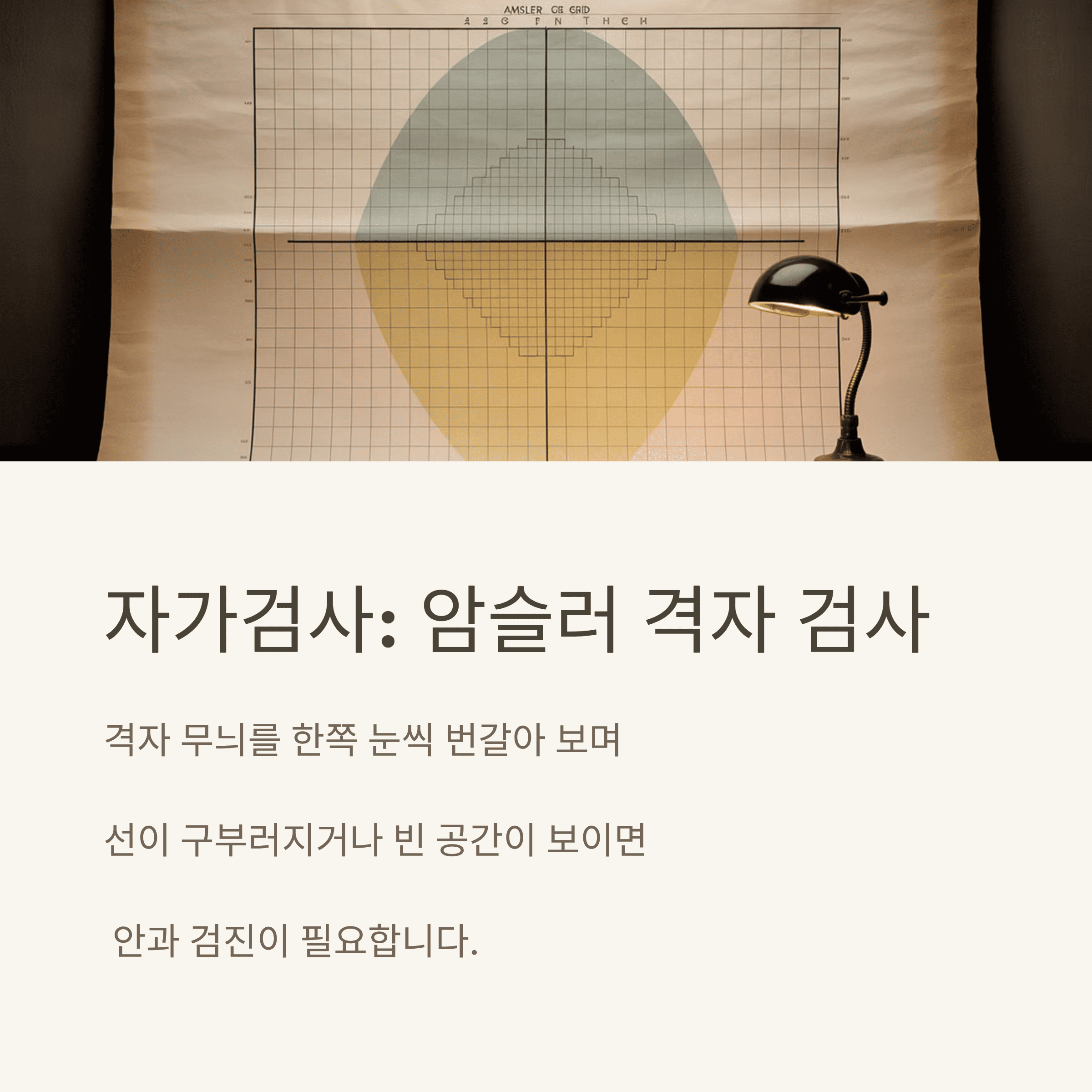 중년 황반변성! 실명 위험 낮추는 7가지 핵심 전략