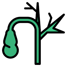 쓸개 제거 수술, 꼭 필요한 이유와 준비 방법은?