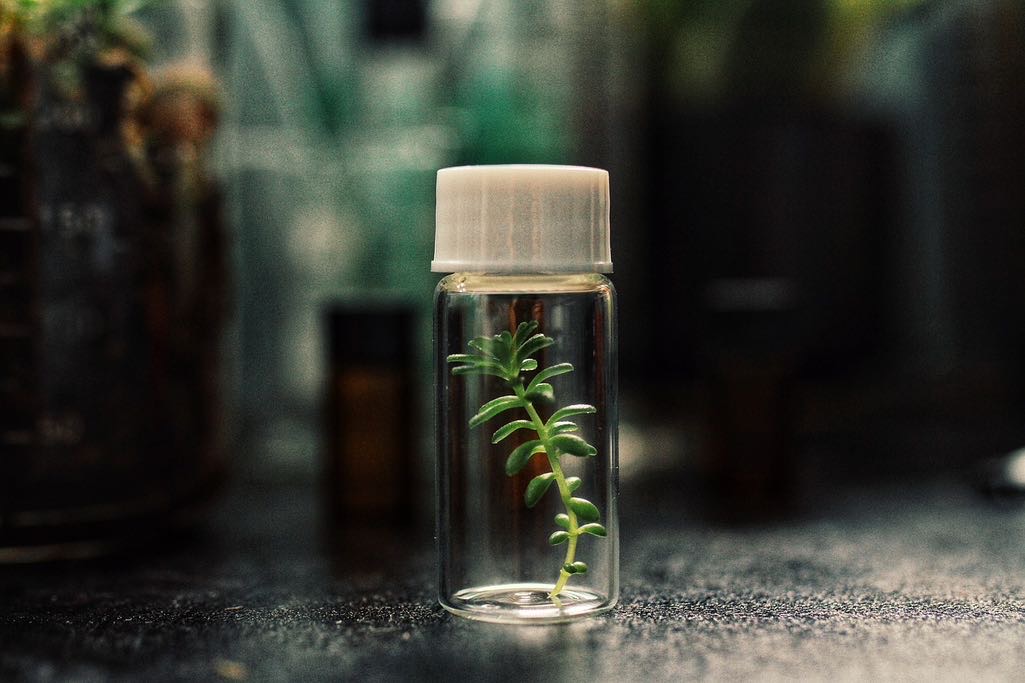 스마트팜이 도시에 필요한 이유와 활용 사례