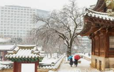 대설주의보로 궁&middot;능 관람 변경