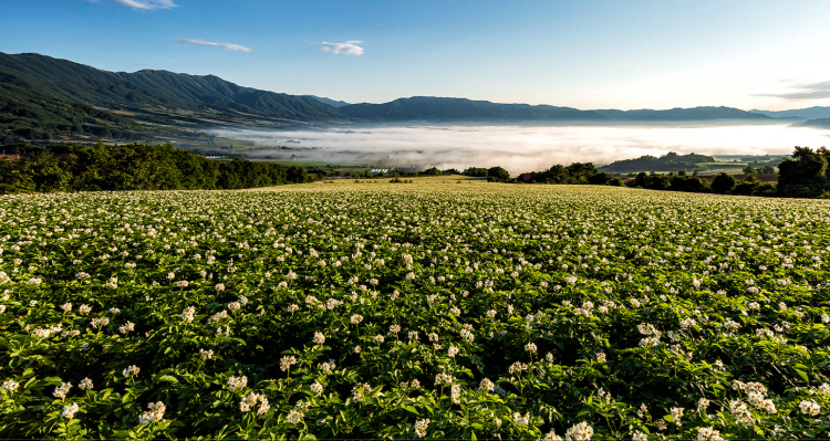 DMZ 펀치볼 둘레길