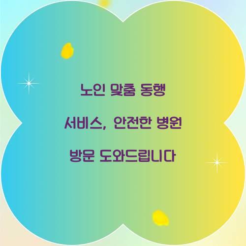노인 맞춤 동행