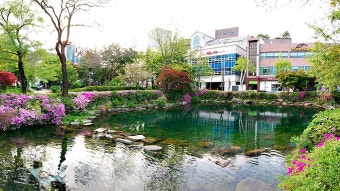 2025년 5월 전국태백 황지연못 봄꽃축제 봄 축제 총정리 🌸 서울부터 제주까지 여행지도!