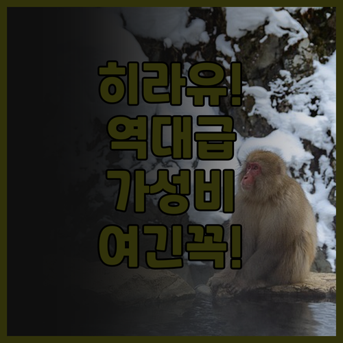 나카무라칸 추천 히라유 온천 버스 터..