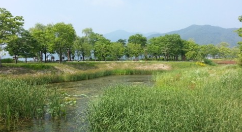 다산 생태공원