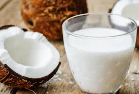 식물성 우유란?