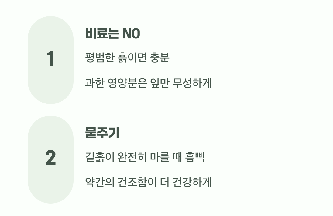 과한 사랑이 독이 되는 이유
