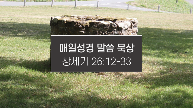 썸네일-잔디위의-우물