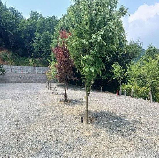 안성별숲캠핑장