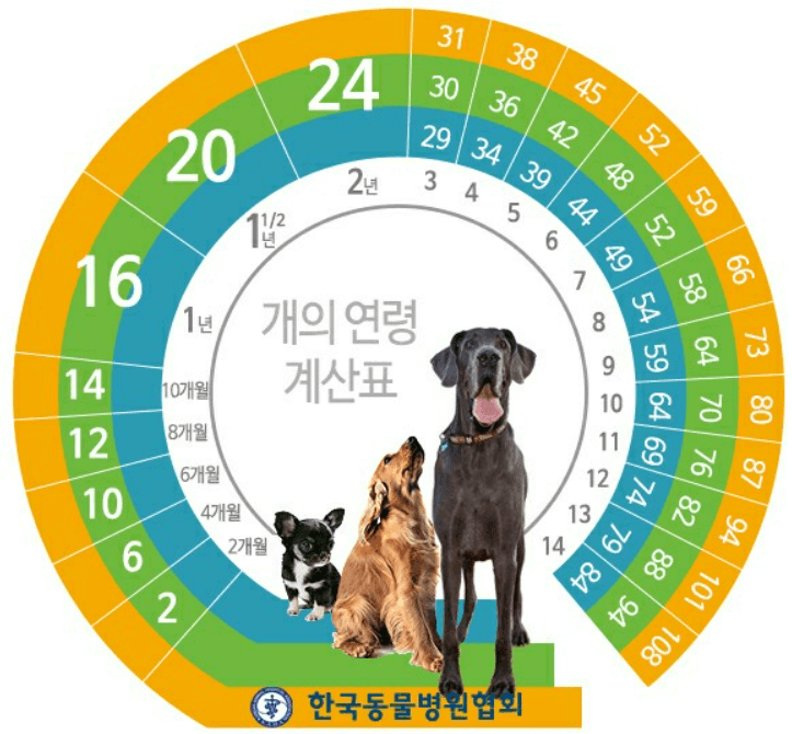 강아지 나이 계산기