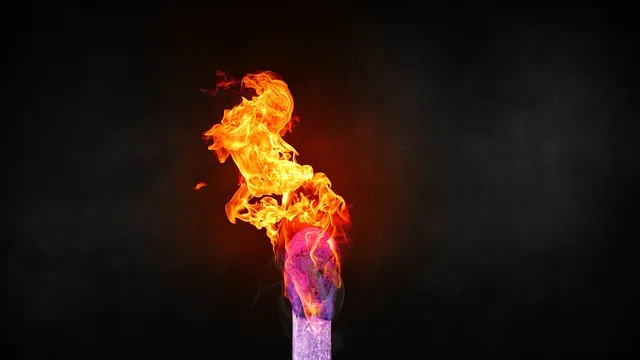 8월 강화도 바다 낚시 어종 소개_9