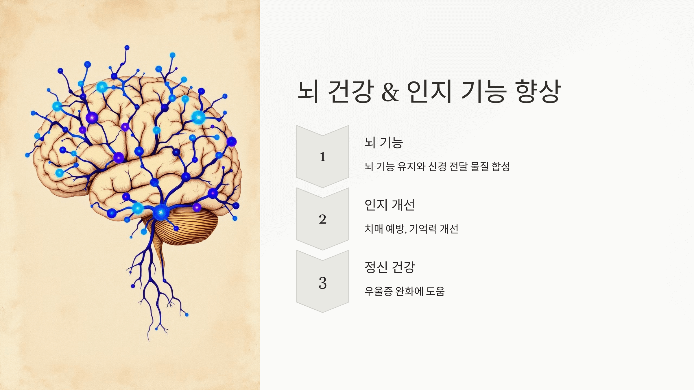 엽산과 관련된 사진입니다.
