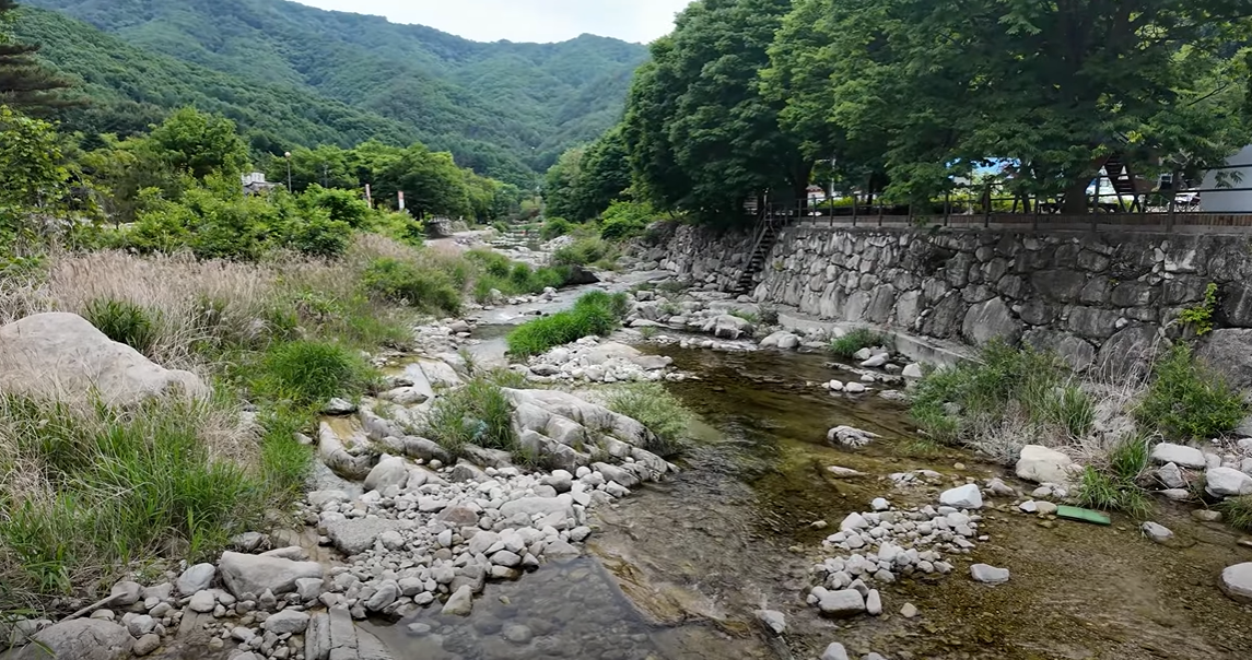 백운계곡: 깨끗한 물과 산림욕을 동시에