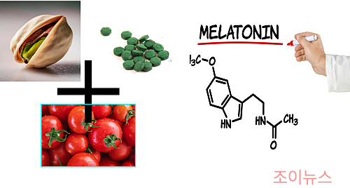 식물성 멜라토닌 효능 진짜?
