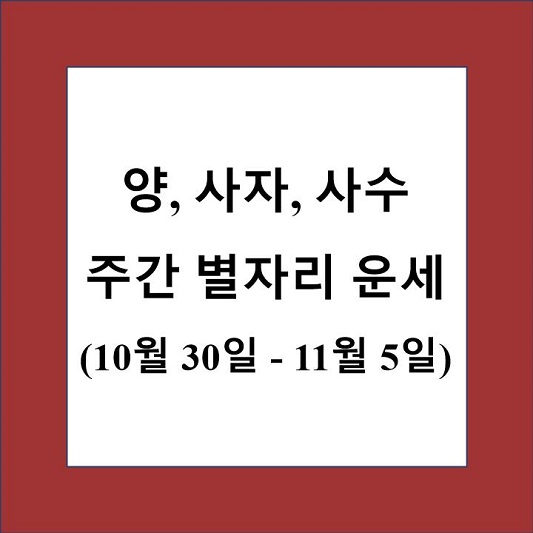 양자리 사자자리 사수자리 주간 별자리 운세 제목 상자