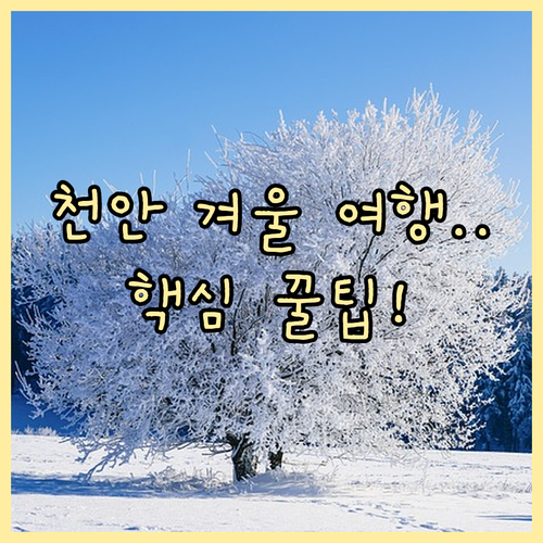 수도권 근교 천안 겨울 여행 독립기념..