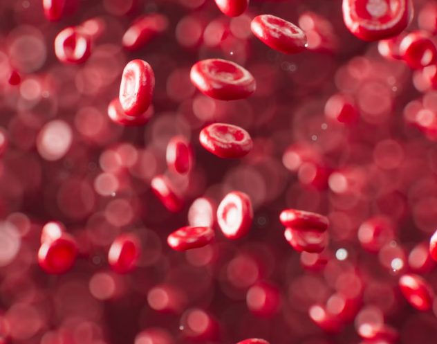 칼슘 효능 : 혈액